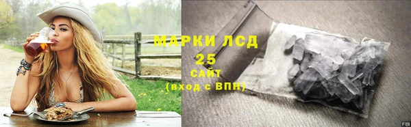 ГАЛЛЮЦИНОГЕННЫЕ ГРИБЫ Краснослободск
