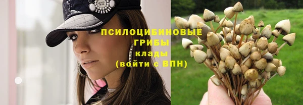 эйфоретик Краснотурьинск