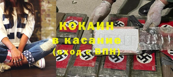 индика Кукмор