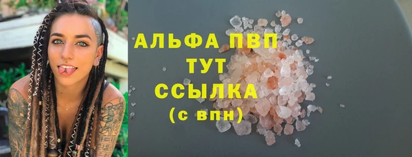 индика Кукмор
