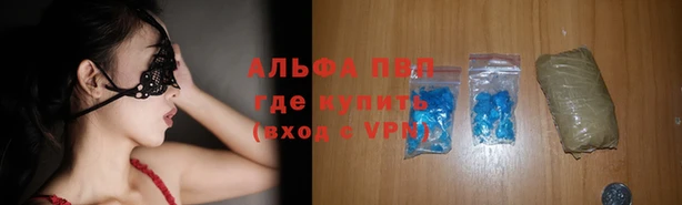 индика Кукмор