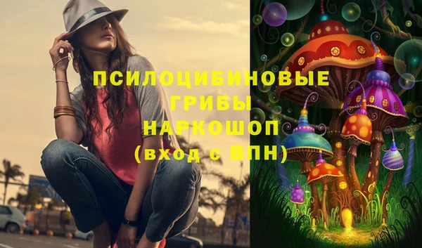 гашик Кулебаки