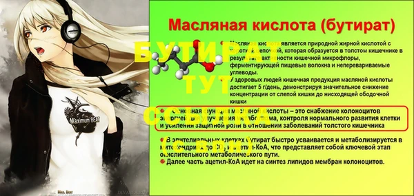 гашик Кулебаки