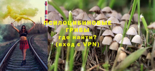 индика Кукмор