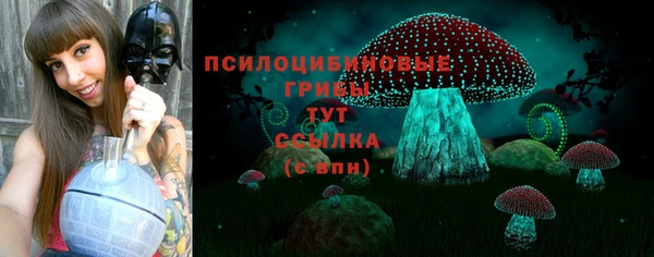 гашик Кулебаки