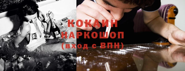 индика Кукмор
