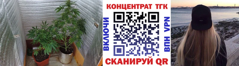 ТГК гашишное масло  закладка  Сусуман 