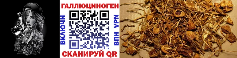 Галлюциногенные грибы GOLDEN TEACHER  Сусуман 
